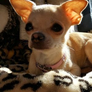 Meet your Posher, Julie